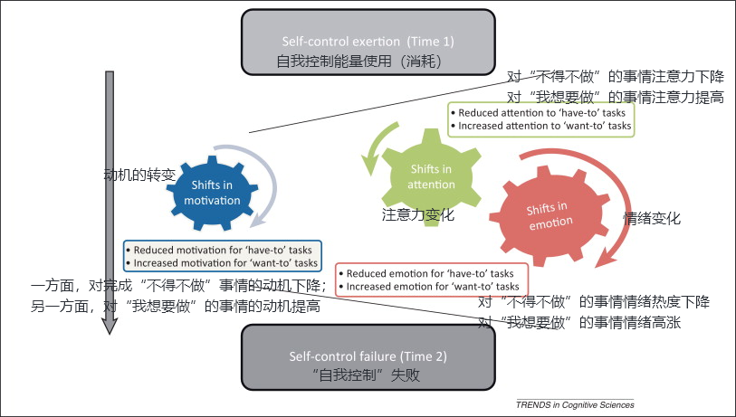 决策疲劳效应：为什么不要在晚上做决定？